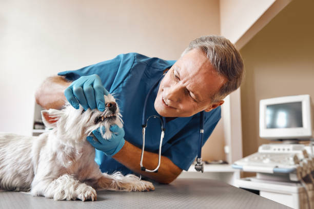 Best Dentist for Dental Trauma  in Cut Off, LA